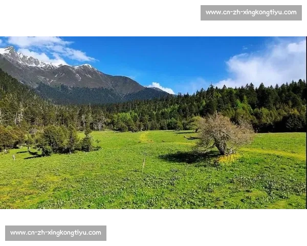 巅峰对决！2025 自然堂喜马拉雅极限越野跑林芝燃情开跑